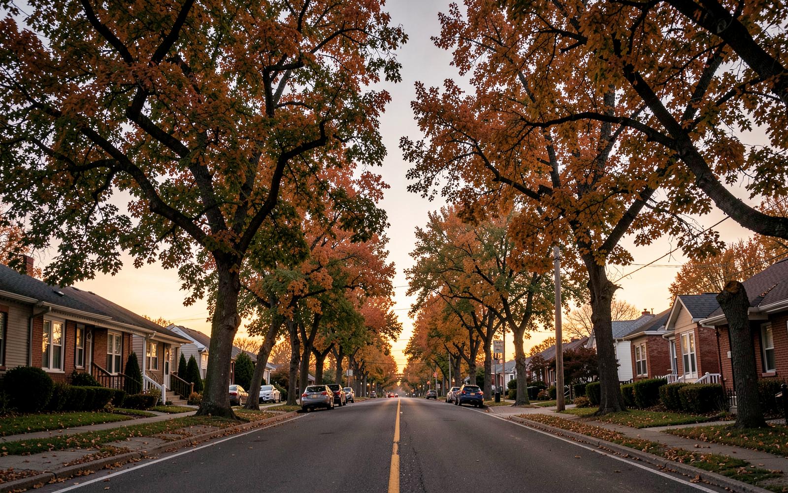 Tree-lined residential street in autumn, warm evening light — illustrative streetscape